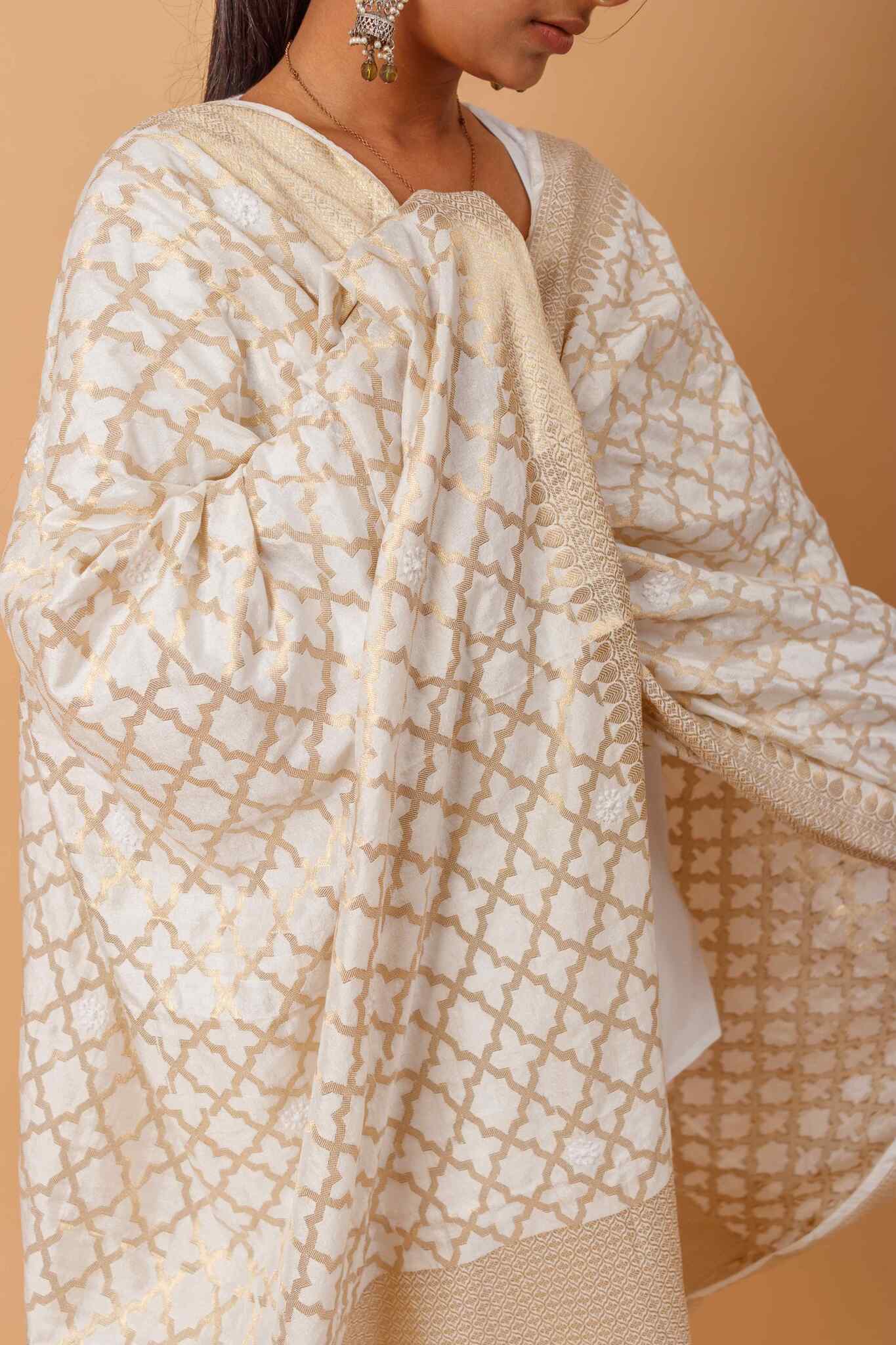 Arsh Handcrafted Chikankari on Banarasi Dupatta - Image 2
